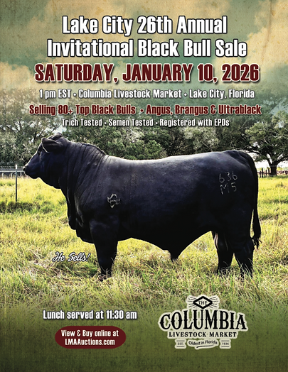 Screenshot 2025-11-24 at 8.43.02 AM.png