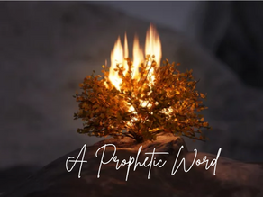 Prophetic Word: Take Your Authority
