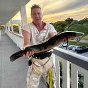 Invasive Fish in Century Village