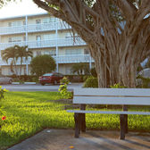 Total CVE Org Coupons Costs Push Past $300