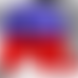 CVE Republican Club Hosts Membership Drive and Barbecue