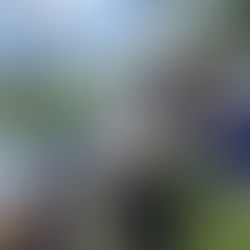 Temple B’nai Shalom’s Tashlich Service