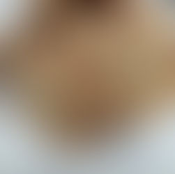 A grandmother’s careful touch inspires a perfect graham cracker cookie