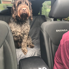 IMG_3469 Hokie in Jeep.JPEG