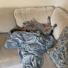 Nellie Relaxing