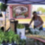 A booth set up at Pine River Square Market. Photo by HDT Staff.