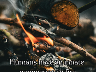 A campfire showing the human connection to fire