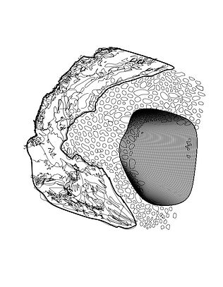 mushroom1.jpg