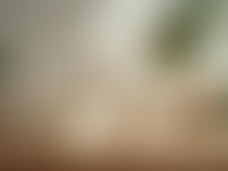 Discover Chemical-Free Cosmetics with Vedaxa's Range