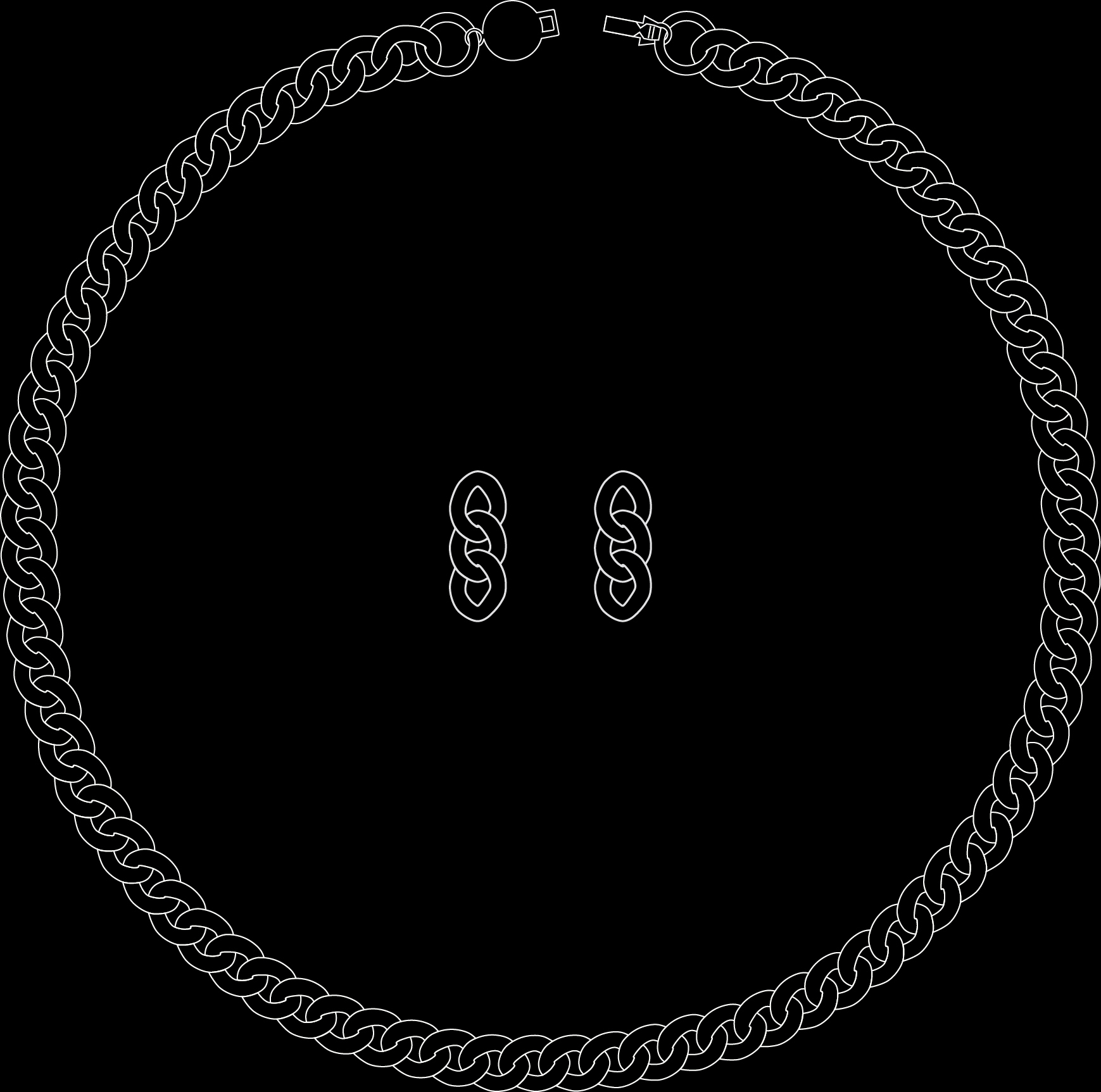 chain necklace and earrings.jpg