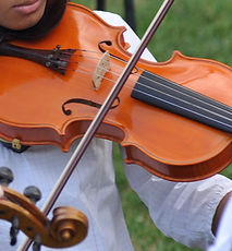 viola.jpg