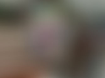 Crafting the Perfect Wedding Board: Wedding Board Tips for Your Special Day