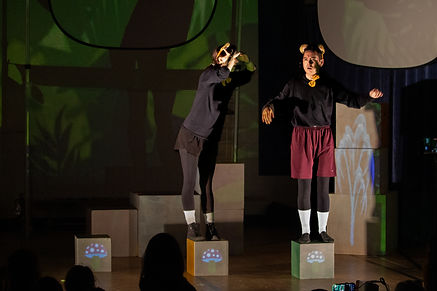 monkey mushrooms (1).jpg