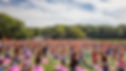 WELLNESS, DANCE, LIVE MUSIC FEST