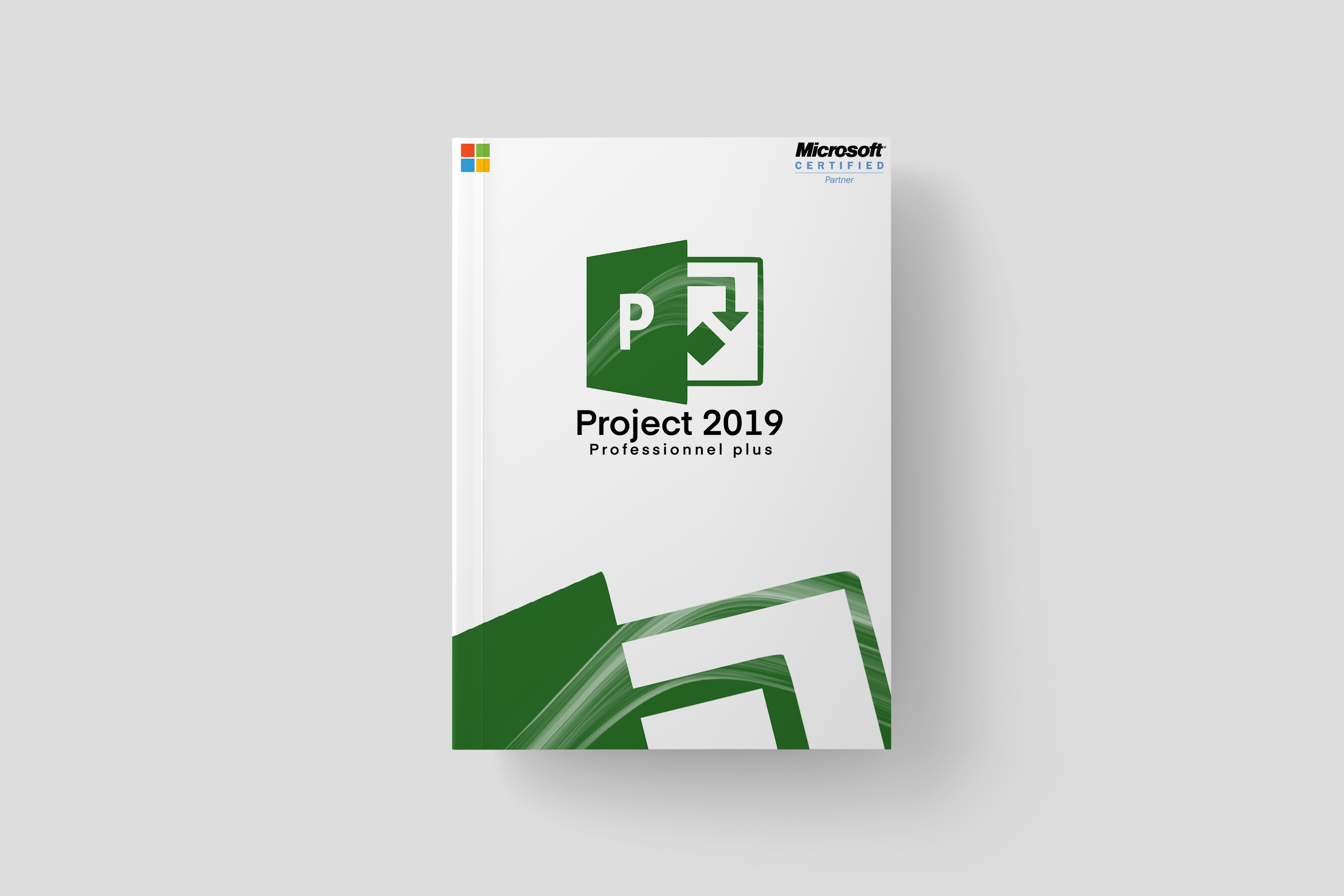 Project 2019 Professional  For 1 PC devices [ Online activation ]