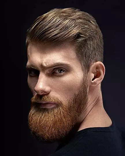 tp-how-to-beard-styles.webp