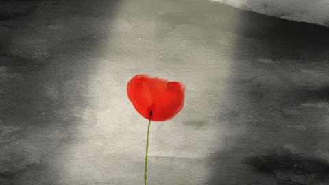 Lest We Forget