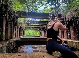 Clementi Forest