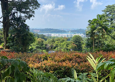Mount Faber