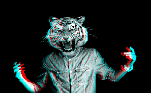 12a189dbf9edae71a5478a5e40173a19.gif
