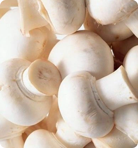 IMG 09 mushroom (drop photo).png