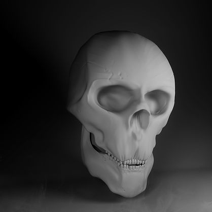 skull def 2.jpg
