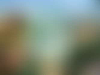 Game Review - Planet Zoo - Franchise Mode