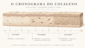 Bioestimulador antes do verão: o cronograma realista de outubro a dezembro