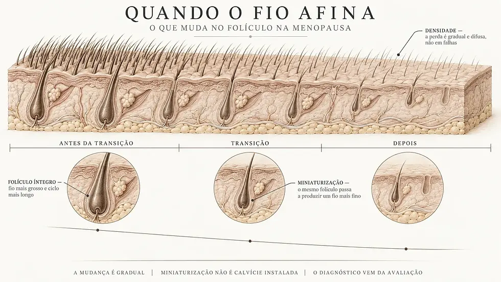 Queda de cabelo na menopausa: o papel dos hormônios e os tratamentos