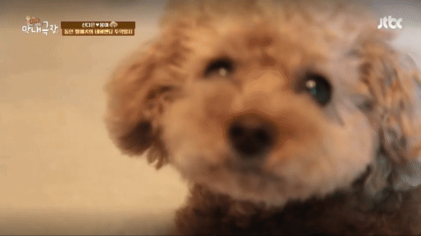 우리집 막내극장 1화