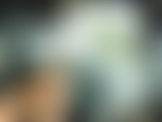 XPEL vs. 3M Window Tint: Which Brand Should You Choose in 2026?