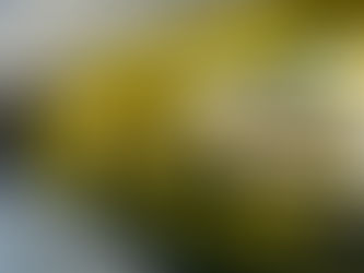 Anti-Graffiti Window Film in Los Angeles