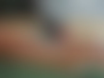 How Much Does Window Tinting Cost in Los Angeles?