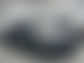 XPEL STEALTH PPF: The Complete Guide to Matte Finish Paint Protection