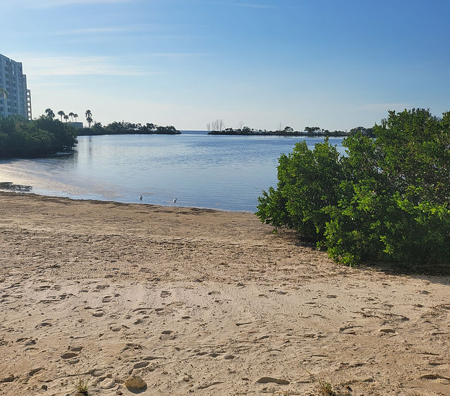 lagoon view.jpg