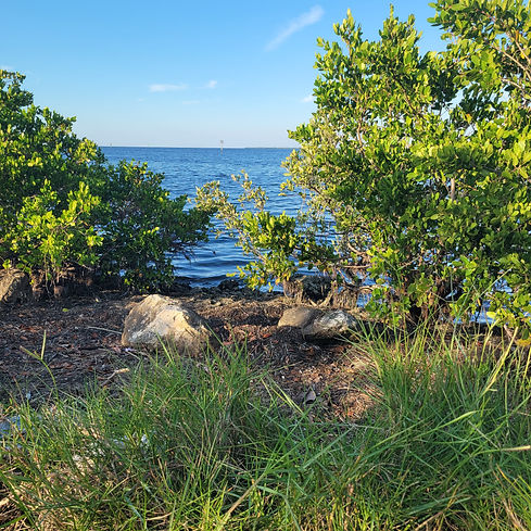 property water view.jpg