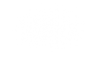 Bit Language_3x.png