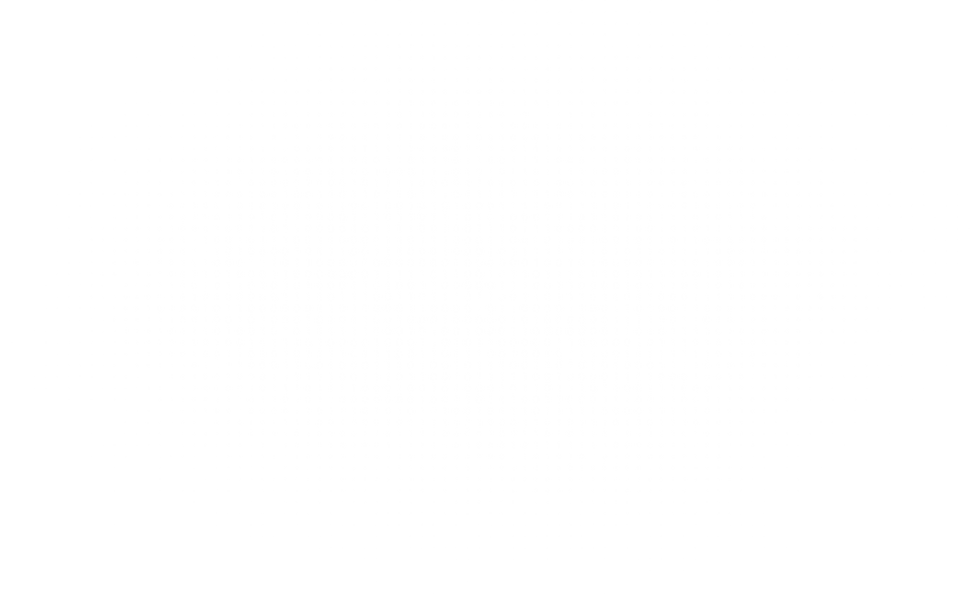 Bit Language_3x.png