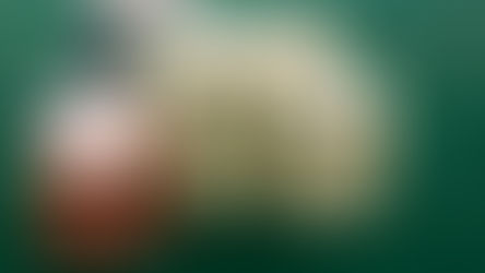 Inside Asian Gaming - ongoing contributions and visualizations