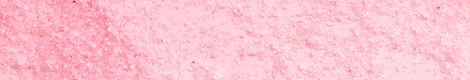 Pink Sugar_edited.jpg