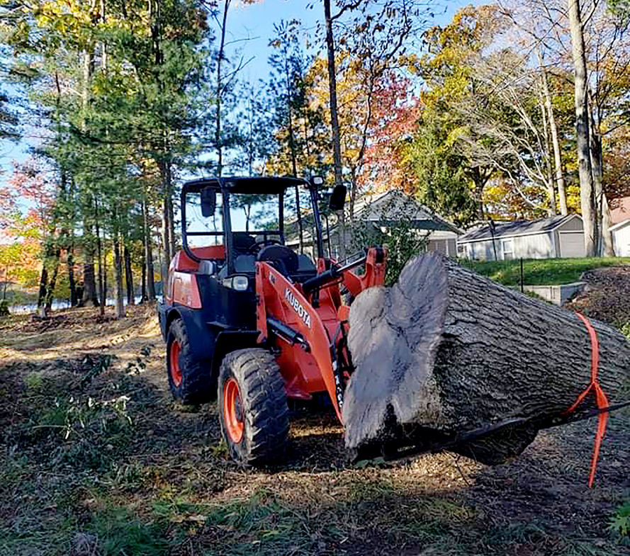 tree-cutting-service-michigan-high-performance-tree-services