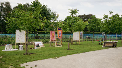 Morning Studio-01.jpg