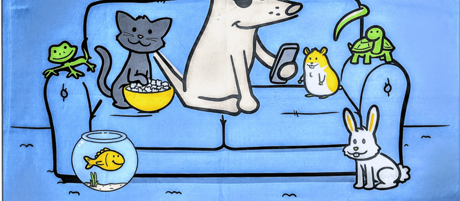 Pets & TV