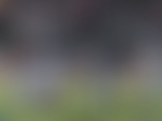 Rock Rolls Past Clarion 42-23 on Senior Day, Keeps Playoff Hopes Alive