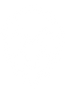 hops white light (1).png