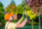 Tree  Removal, Trimming and Pruning | Douglasville, GA | Vertical Trees