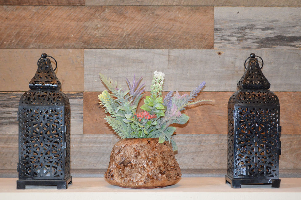 Old Growth Redwood Burl Bowl