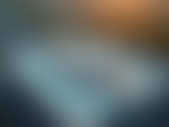 Safe and Efficient Roof Drone Inspections