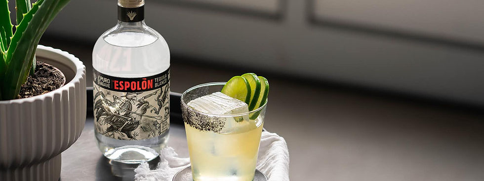 Mexican Restaurant Serving Modern Cuisine Inspired From Mexico | Tyler, Texas | Cantina Laredo