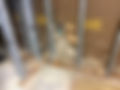 corroded wall studs and mold growth on sheathing.jpg